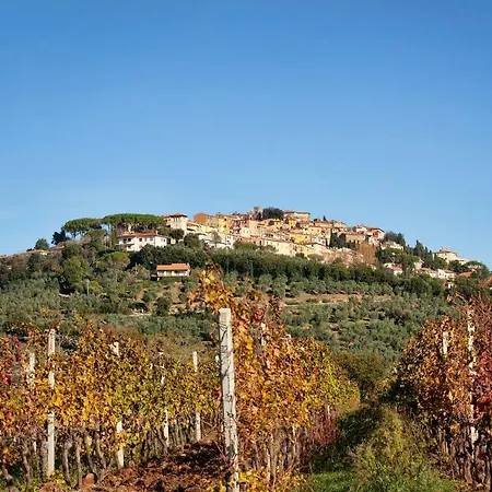 Ninnanannamare-suite Castagneto Carducci
